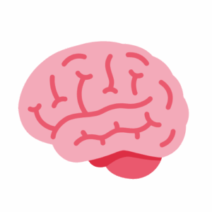 Brain Icon